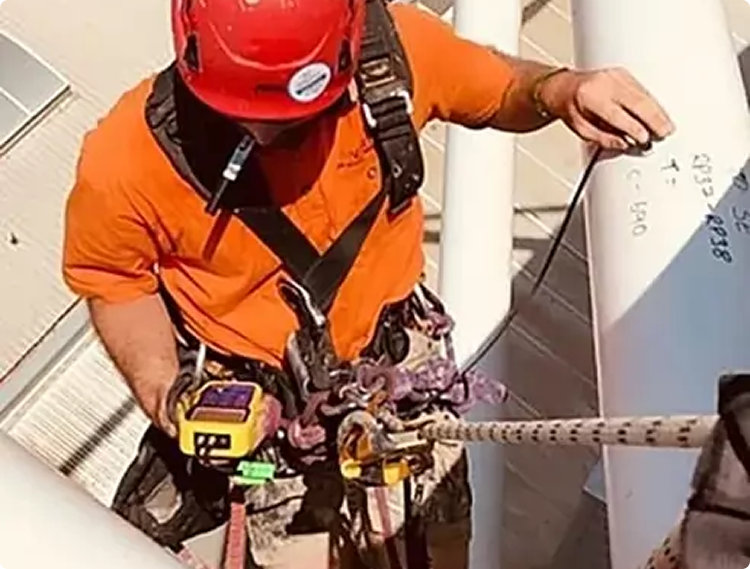 Project Summary