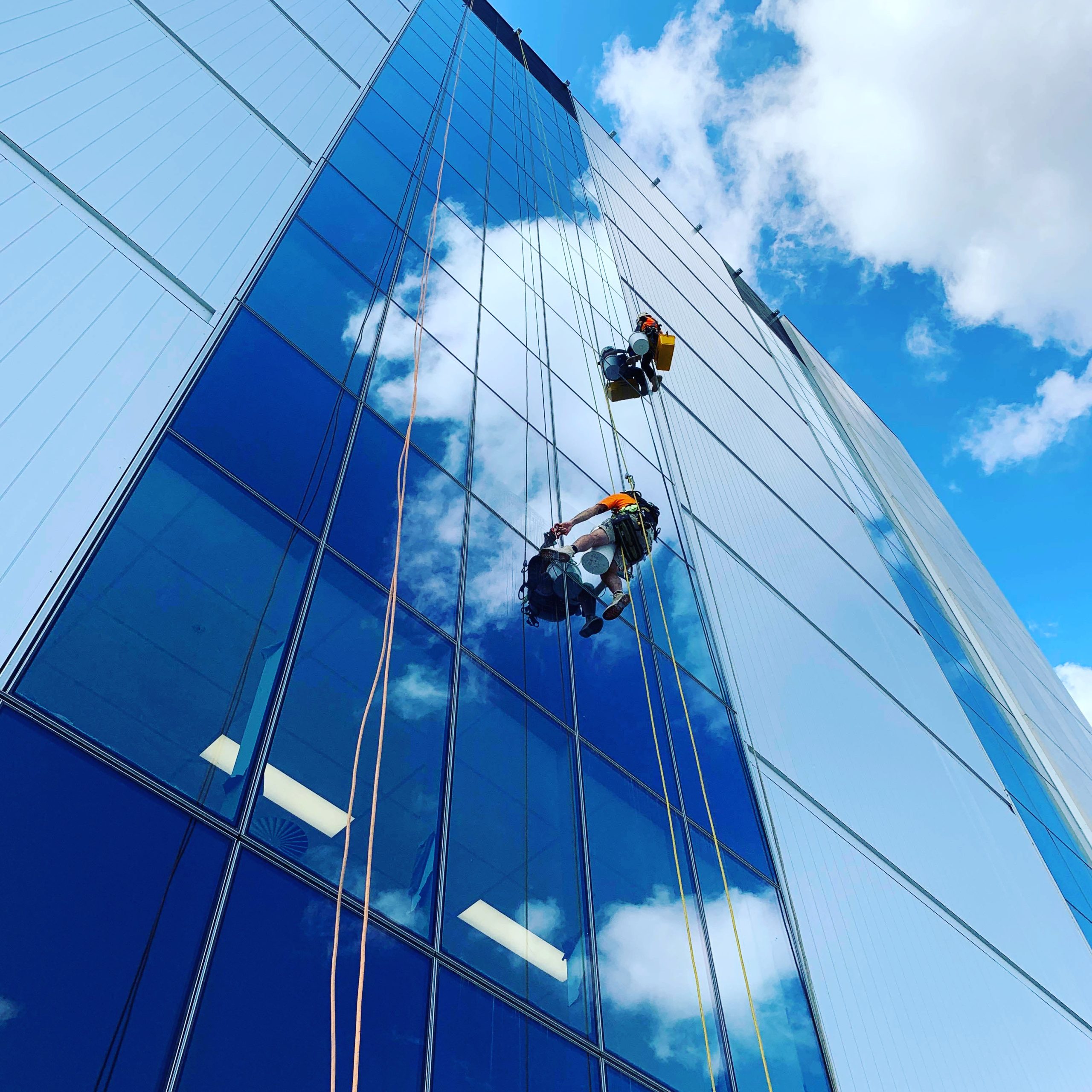 Outstanding High-Rise Window Cleaning Services Across Greater Sydney