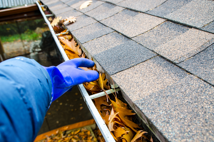 Contact JG Vertical for Expert Gutter Cleaning in Sydney